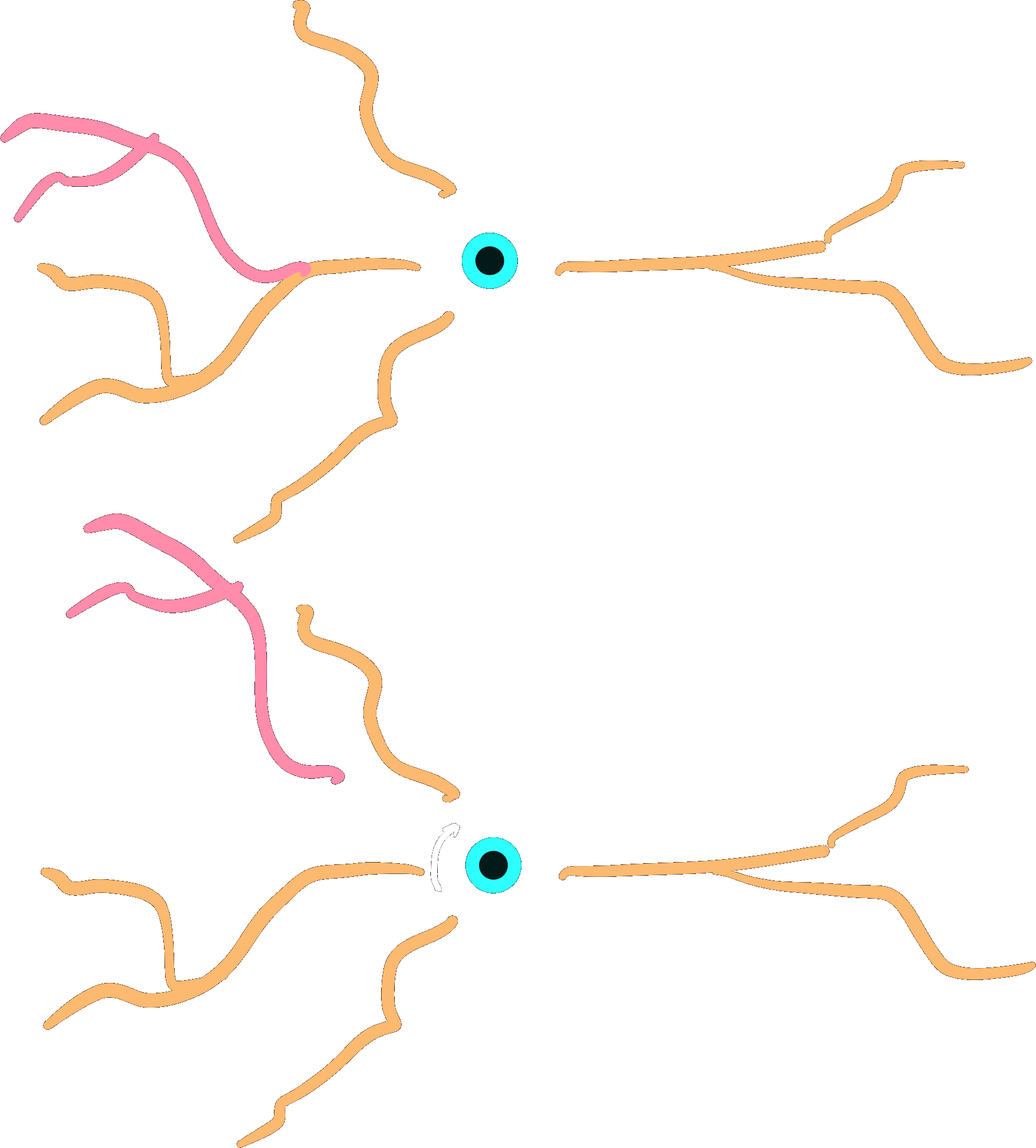 ../_images/rotate_dend_dark.png